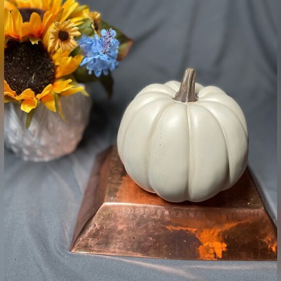 5” NEW! Creamy White Pumpkin Table Decor Fall Harvest Autumn Thanksgiving - Picture 3 of 8